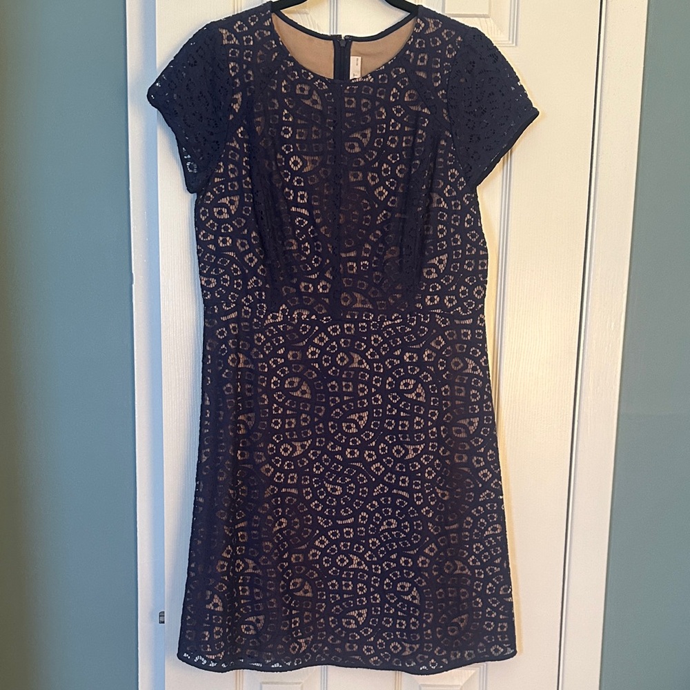 LOFT Navy and Beige Lace Midi Dress